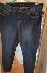 Torrid skinny jeans